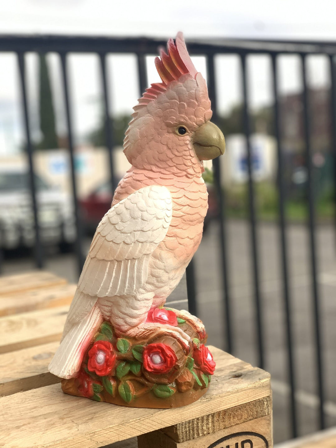 HEICO - COCKATOO, MAJOR MITCHELL LAMP