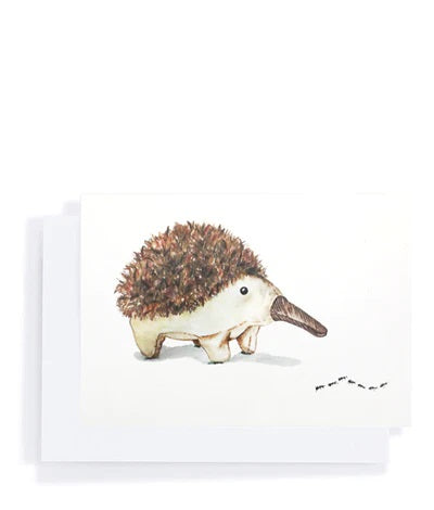 NANA HUCHY - GIFT CARD, SPIKE ECHIDNA