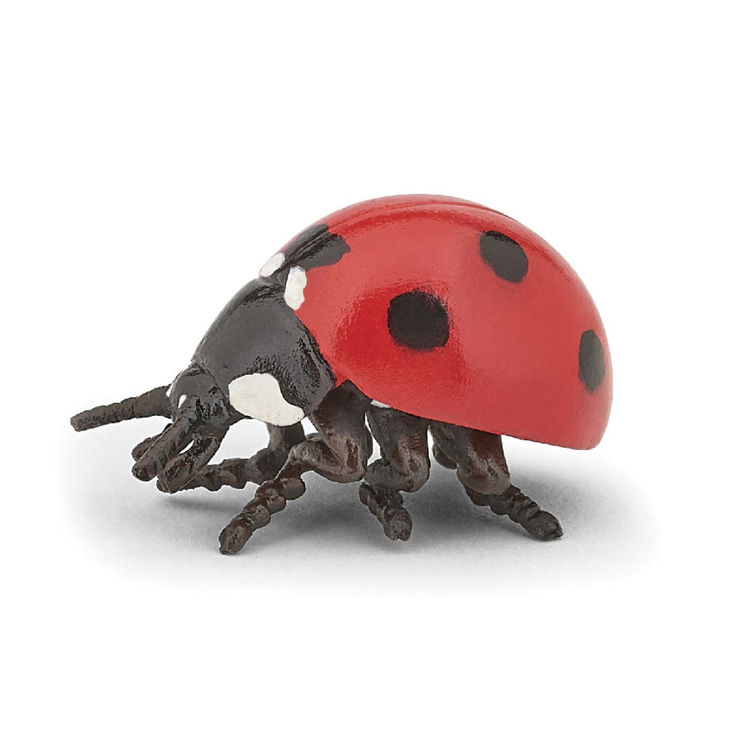 PAPO - LADYBIRD