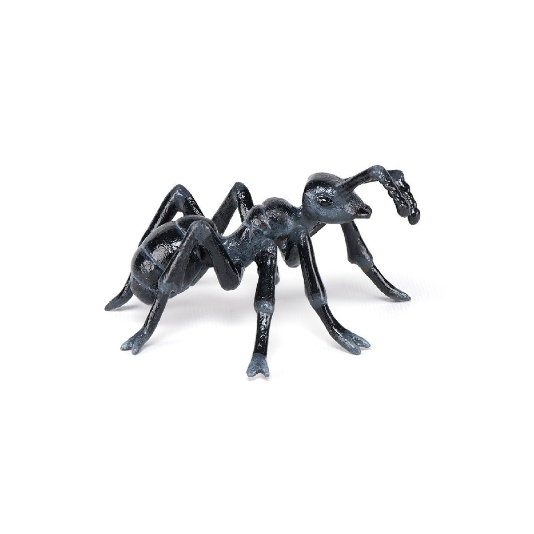 PAPO - WILD ANT