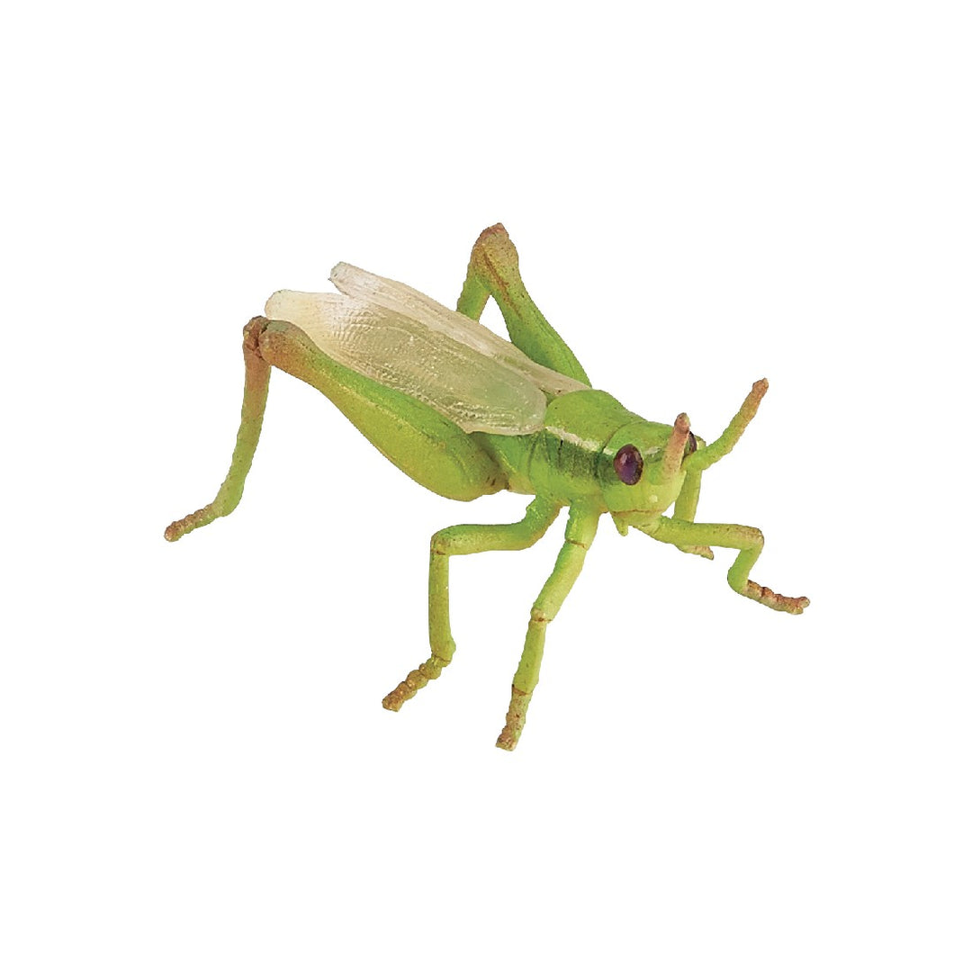 PAPO - GRASSHOPPER