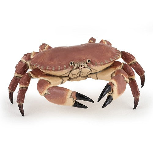 PAPO - CRAB 