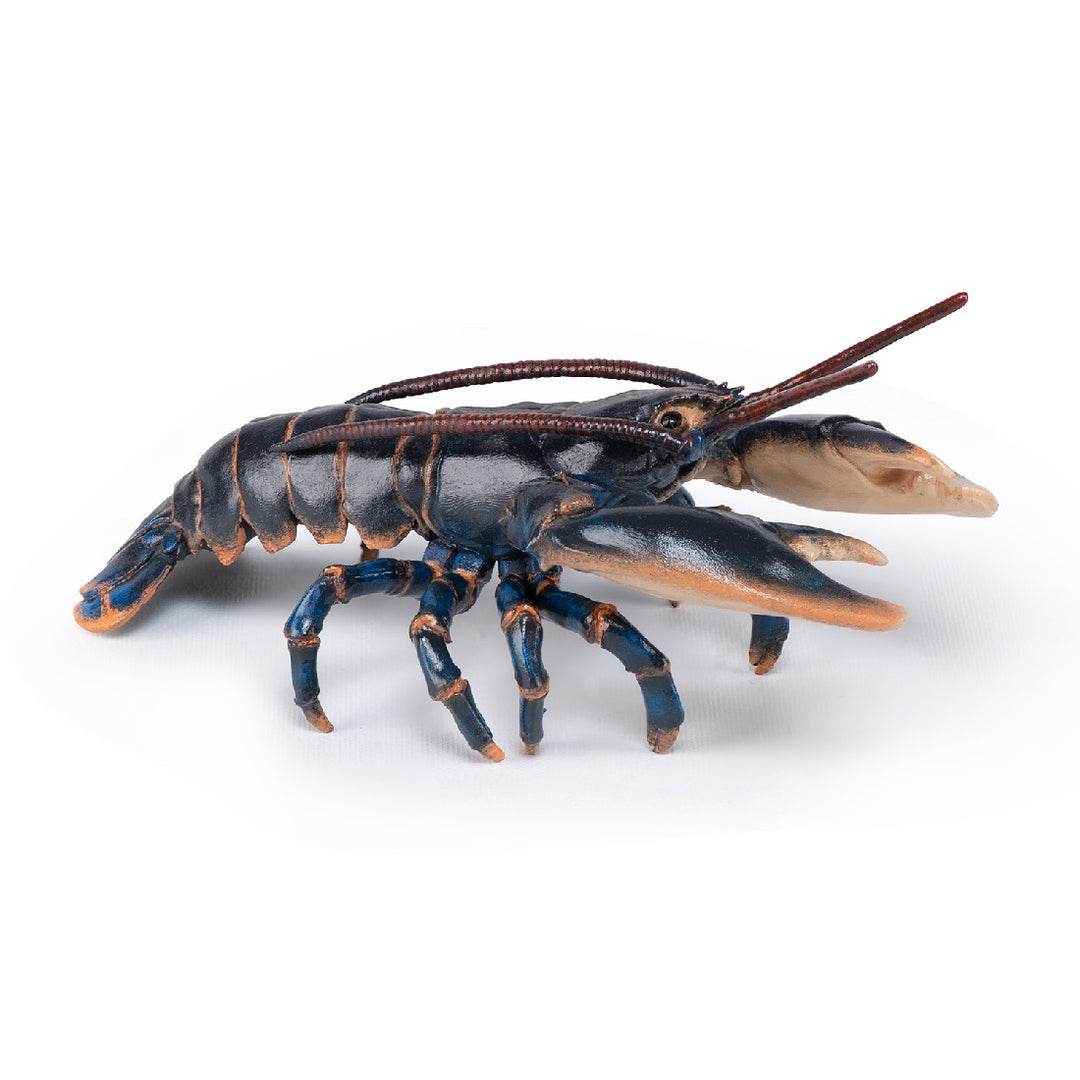 PAPO - MARINE LOBSTER