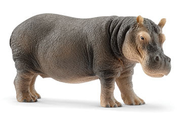 SCHLEICH - HIPPOPOTUMAS