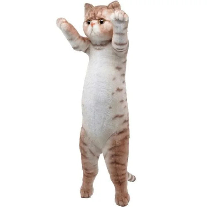 TACCHII ZOO PLUSHIES - NORMAL STANDING CAT PLUSHIE: EXOTIC SHORTHAIR