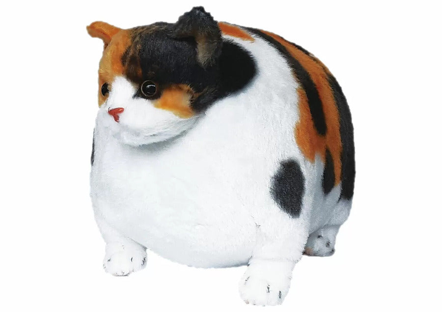 TACCHII ZOO PLUSHIES - NORMAL FAT CAT PLUSHIE: CALICO