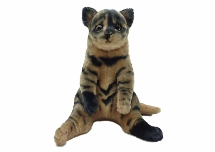 TACCHII ZOO PLUSHIES - NORMAL SITTING CAT PLUSHIE: TORTOISE SHELL
