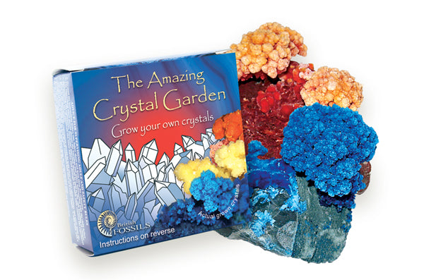 ROCKS AND MINERALS - AMAZING CRYSTAL GARDEN