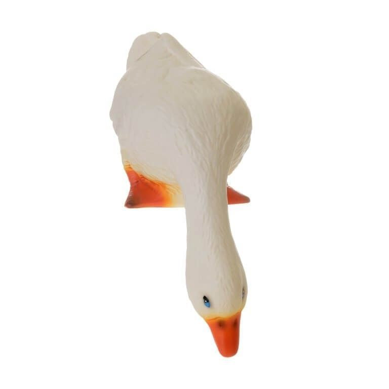 Lamp duck shop