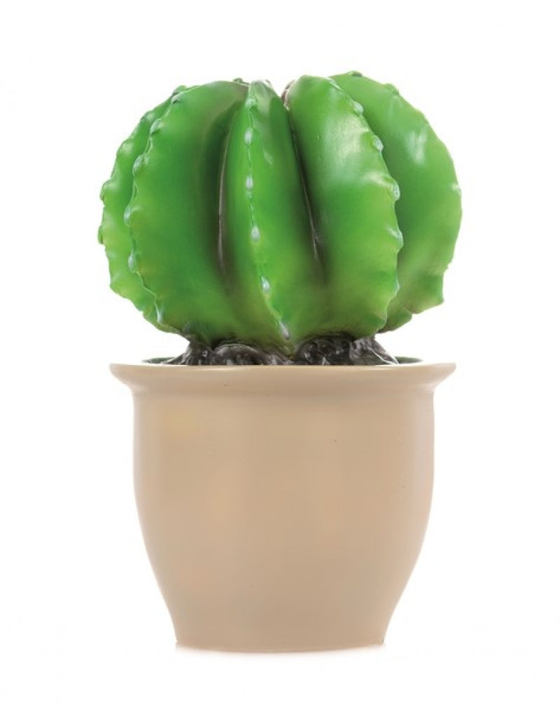 HEICO - CACTUS IN A POT LAMP