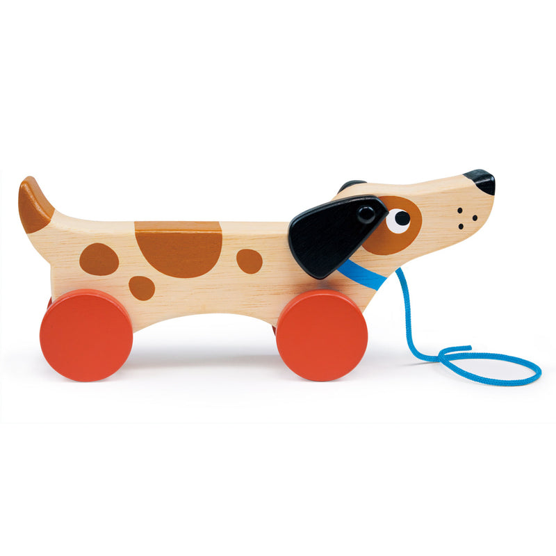 MENTARI - PUPPY ON WHEELS