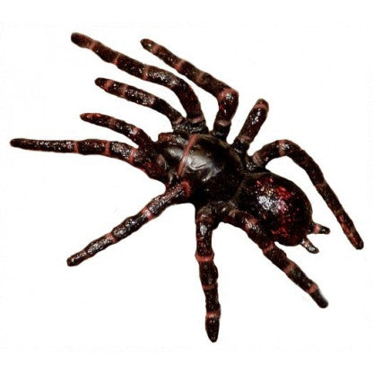 SMALL ANIMAL REPLICA - SYDNEY FUNNEL-WEB