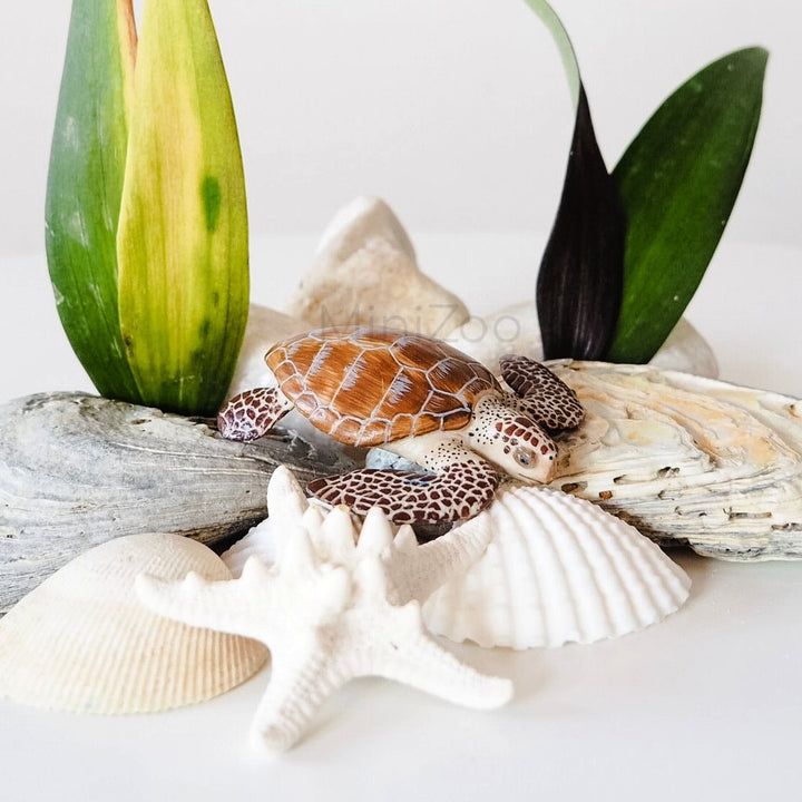 PAPO - LOGGERHEAD TURTLE 