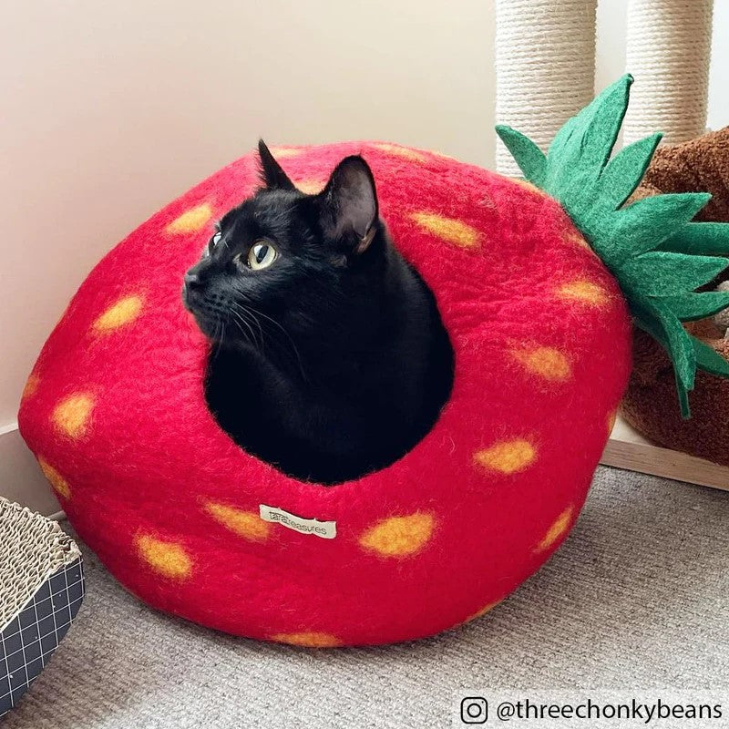 TARA TREASURES - CAT CAVE: STRAWBERRY 