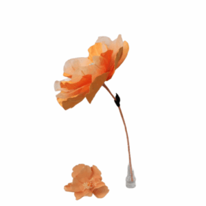 NIBBANAH - PAPER FLOWER SAKURA: APRICOT