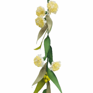 NIBBANAH - PAPER FLOWER EUCALYPT LIGHT