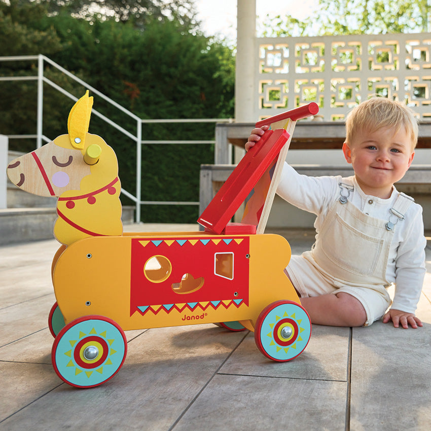 JANOD - LLAMA RIDE ON 