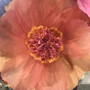 NIBBANAH - PAPER FLOWER MOONLIGHT: APRICOT