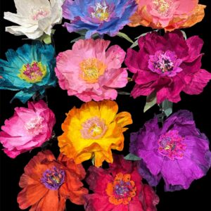 NIBBANAH - PAPER FLOWER DANCING: APRICOT