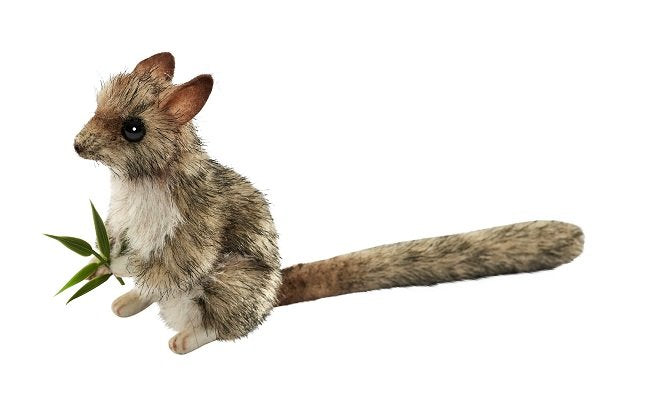 HANSA - PLUSH ANIMAL: LEADBEATER POSSUM 11CM 