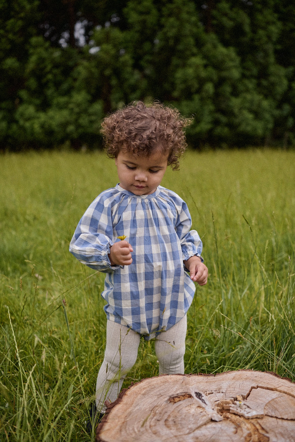 NATURE BABY - MEADOW BODYSUIT GINGHAM: BLUEBELL CHECK [sz:0-3 MTHS]