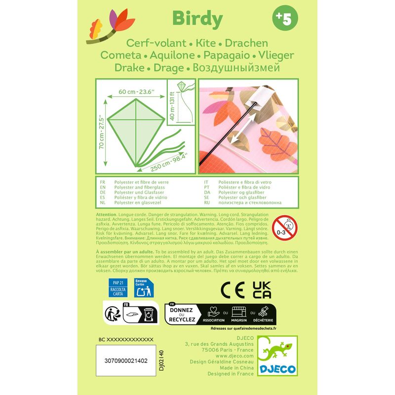 DJECO - BIRDY KITE 
