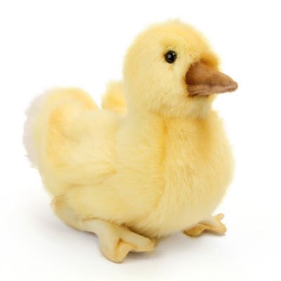 HANSA - PLUSH ANIMAL: DUCKLING WHITE TAILED 20CM
