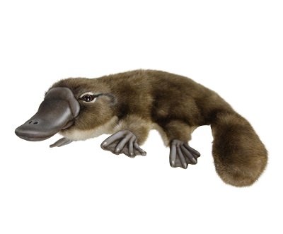 HANSA - PLUSH ANIMAL: PLATYPUS 40CM