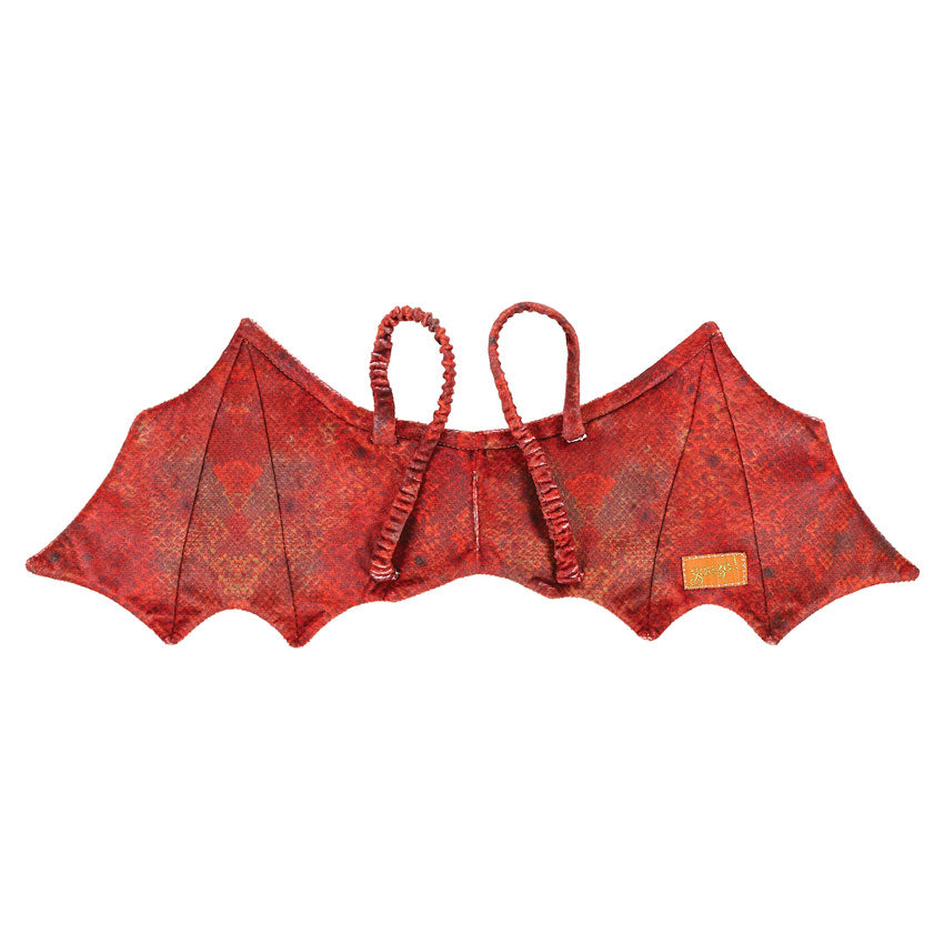 SOUZA - DRESS UP: DRAGON SET [sz:4-7 YRS]