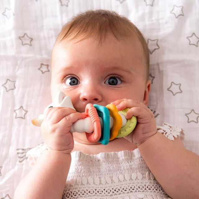 LES FOLIES - SOPHIE LA GIRAFFE: COLO RINGS