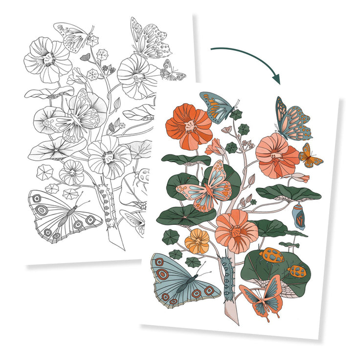 DJECO - NATURALIST COLOURING GALLERY 