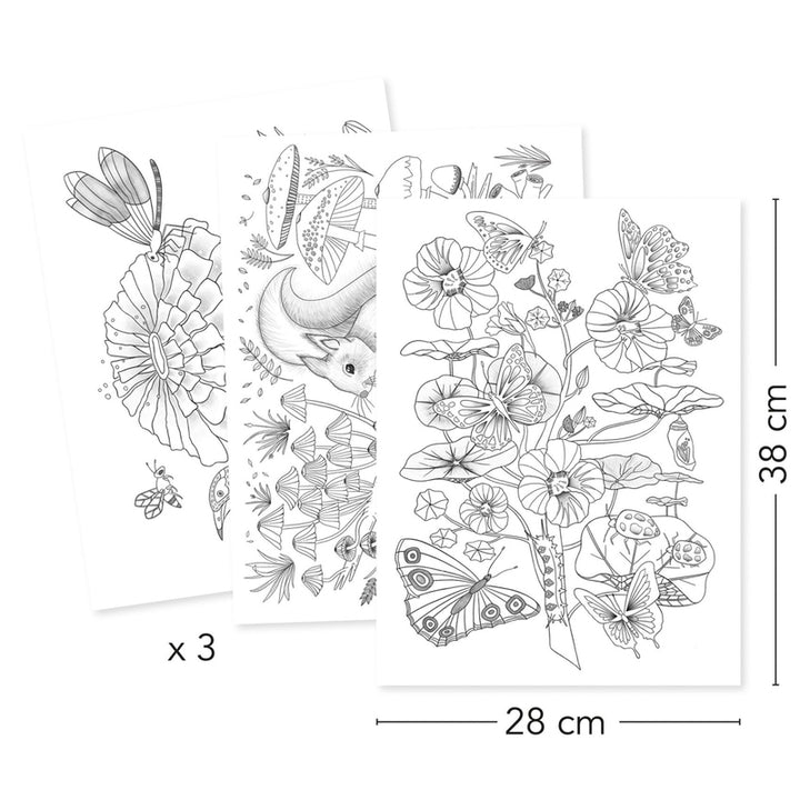 DJECO - NATURALIST COLOURING GALLERY 