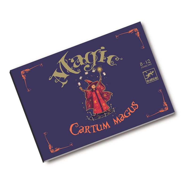 DJECO - 20 MAGIC TRICKS CARD SET 