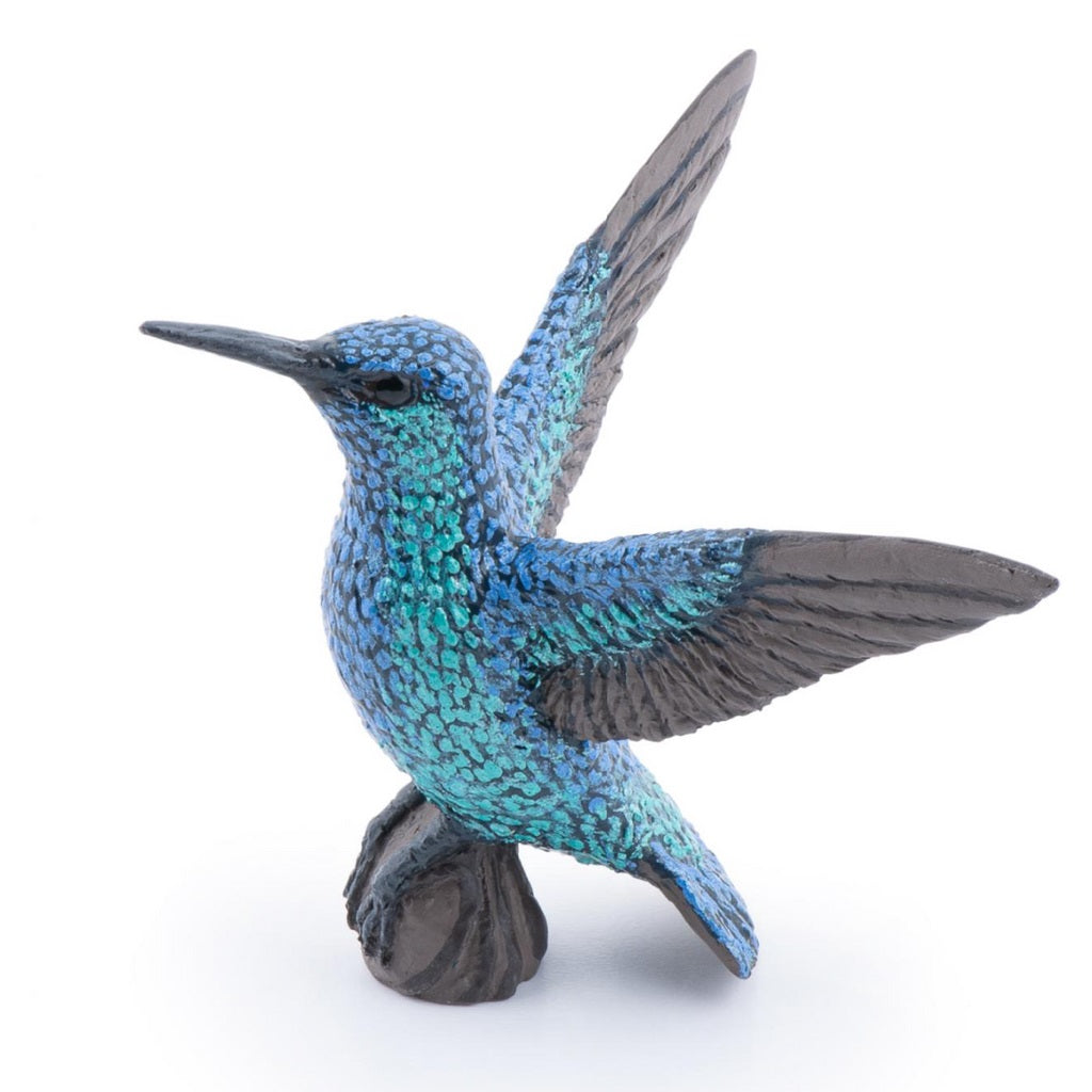 PAPO - HUMMINGBIRD