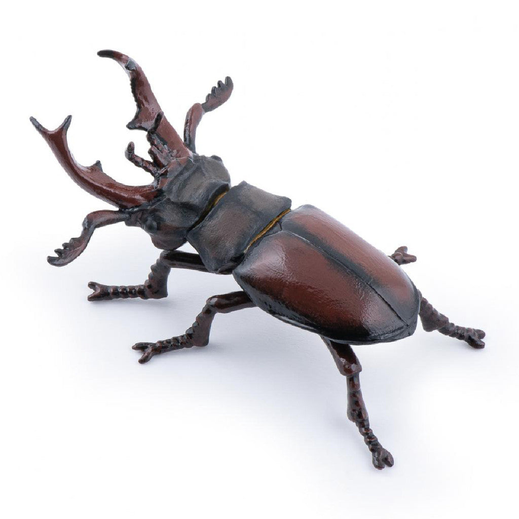 PAPO - STAG BEETLE