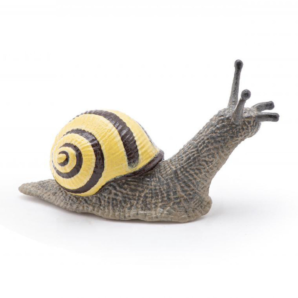 PAPO - GROVE SNAIL