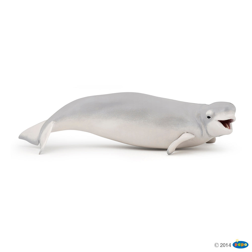 PAPO - MARINE BELUGA WHALE