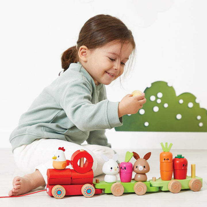 JANOD - FARMYARD TRAIN PULL ALONG