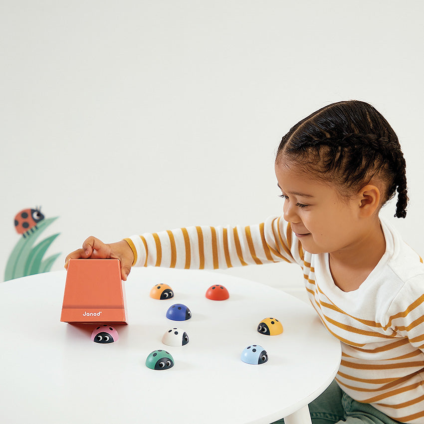 JANOD - GAME: LADYBIRD MEMORY 