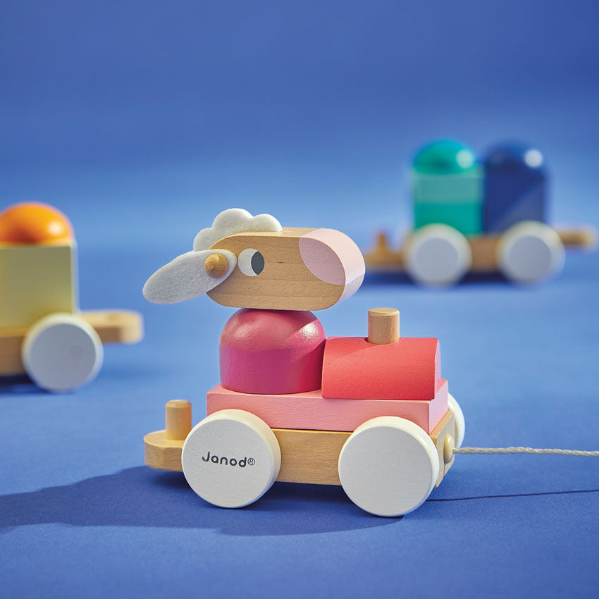 JANOD - SHEEP TRAIN 