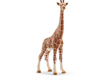 SCHLEICH - GIRAFFE - FEMALE 