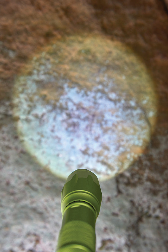 HABA - TERRA KIDS: TORCH 