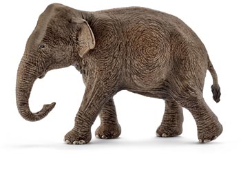 SCHLEICH - ASIAN ELEPHANT FEMALE 