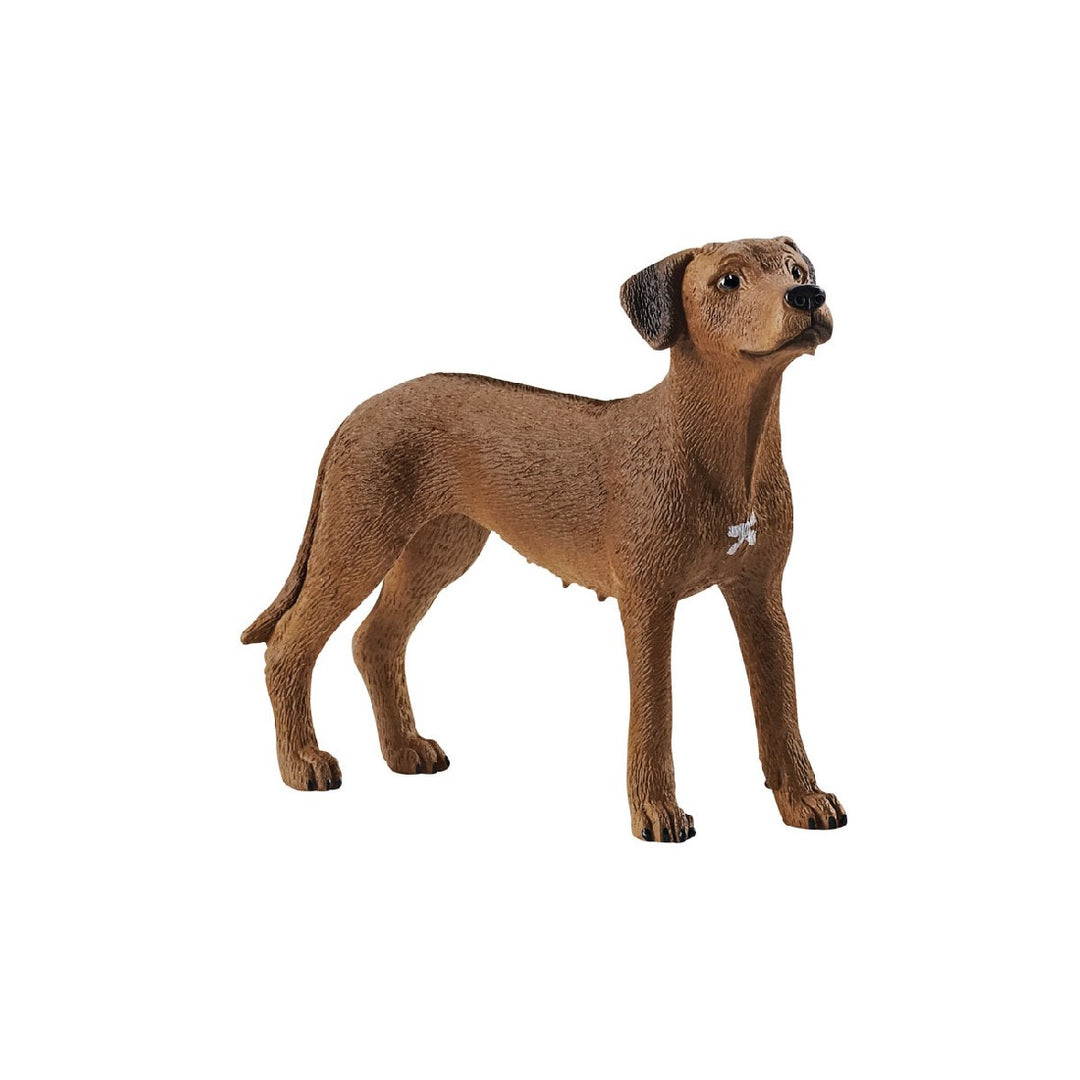 SCHLEICH - RODESIAN RIDGEBACK 