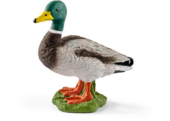 SCHLEICH - DRAKE 