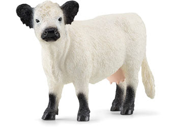 SCHLEICH - GALLOWAY COW