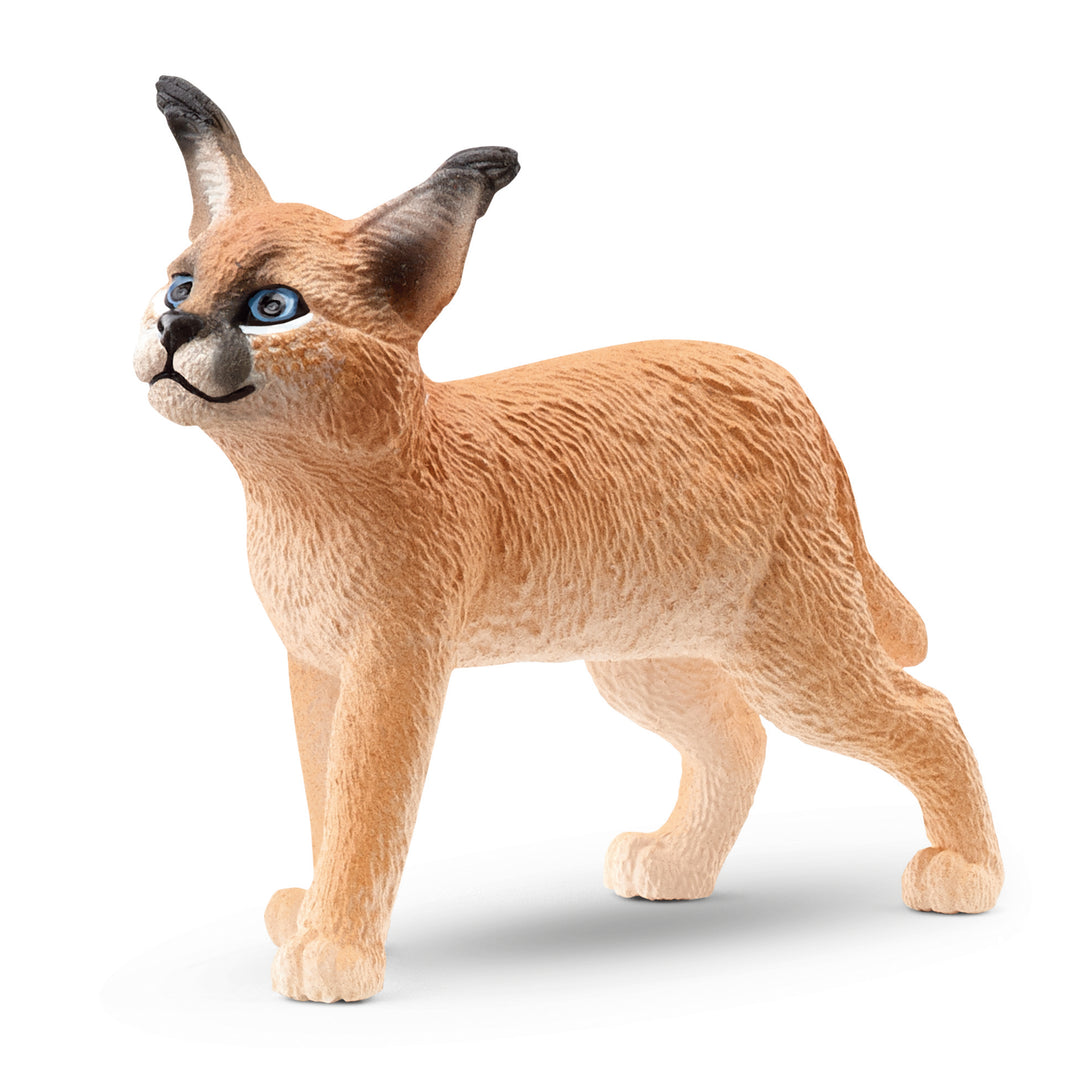 SCHLEICH - CARACAL BABY