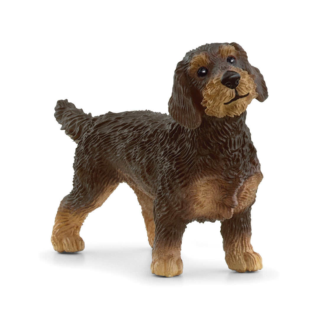 SCHLEICH - WIRE HAIRDED DACHSHUND