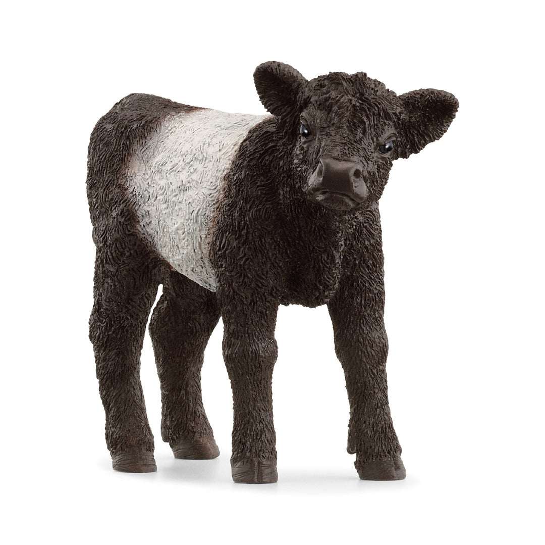 SCHLEICH - GALLOWAY CALF