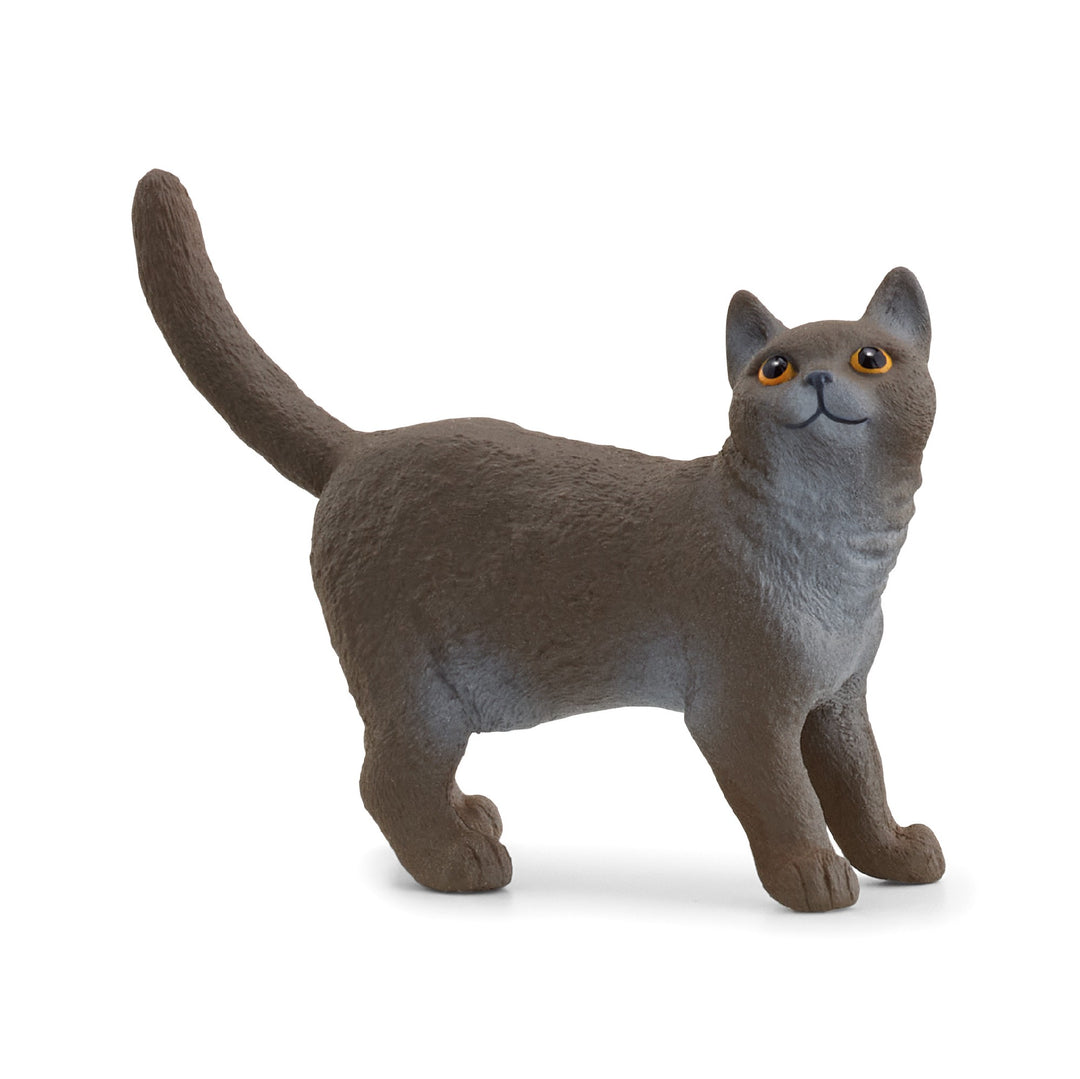 SCHLEICH - BRITISH SHORTHAIR CAT 